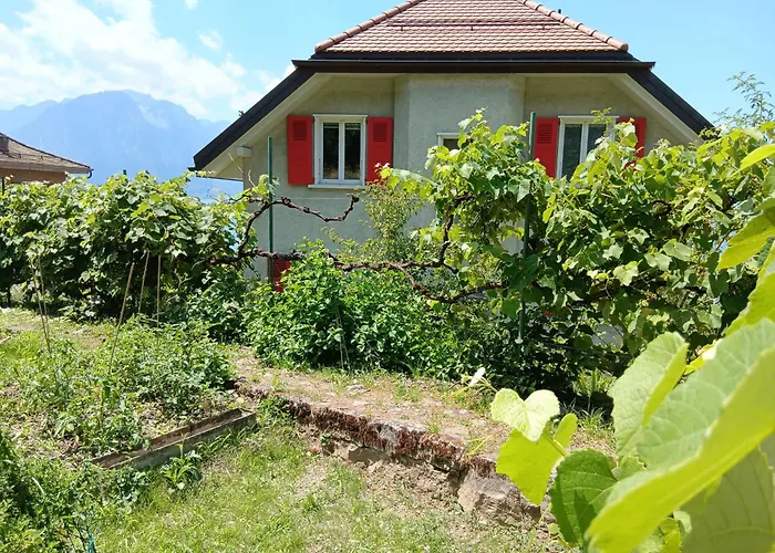 Loft La Plus Belle Vue Du Lac Leman Montreux