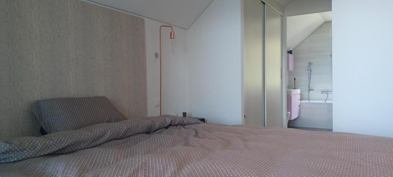 Loft Belle Vue Du Leman