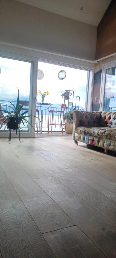Loft Belle Vue Du Leman Apartment