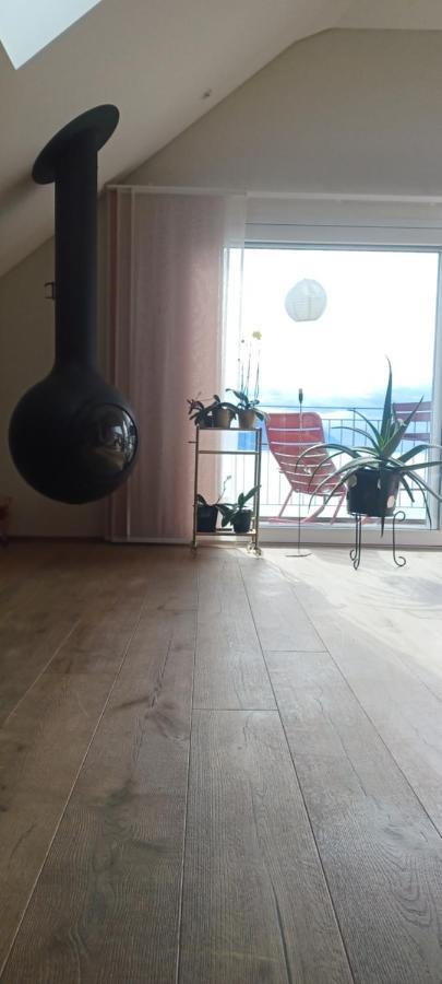 Loft Belle Vue Du Leman Apartment *