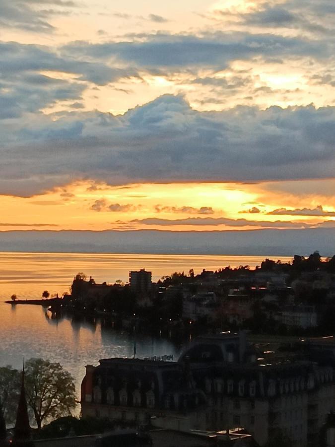 Loft Belle Vue Du Leman Apartment