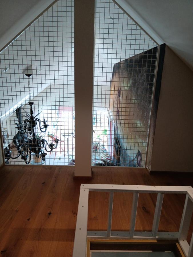 Apartment Loft Belle Vue Du Leman