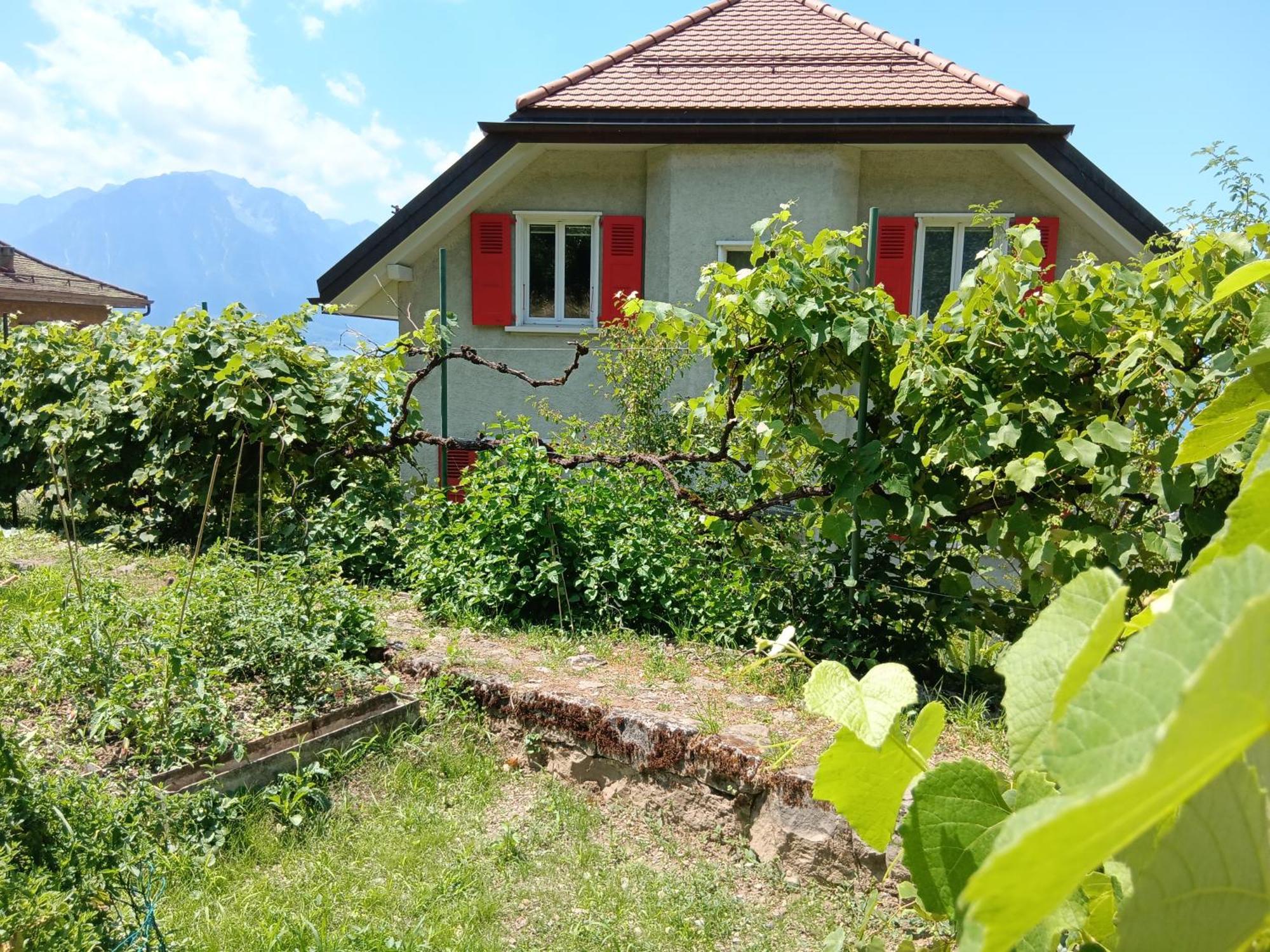 Loft Belle Vue Du Leman Apartment